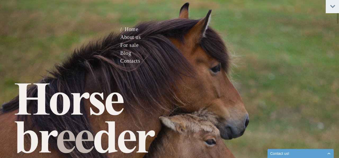 Horse Breeder (WordPress 4.x)