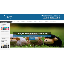 Enigma WordPress Free